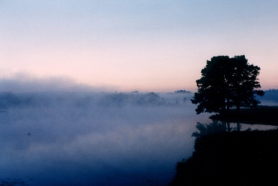 Ohatchee Morning Fog 8-93
